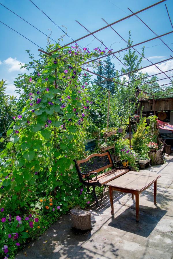 4 Rooms Sighnaghi Exterior photo