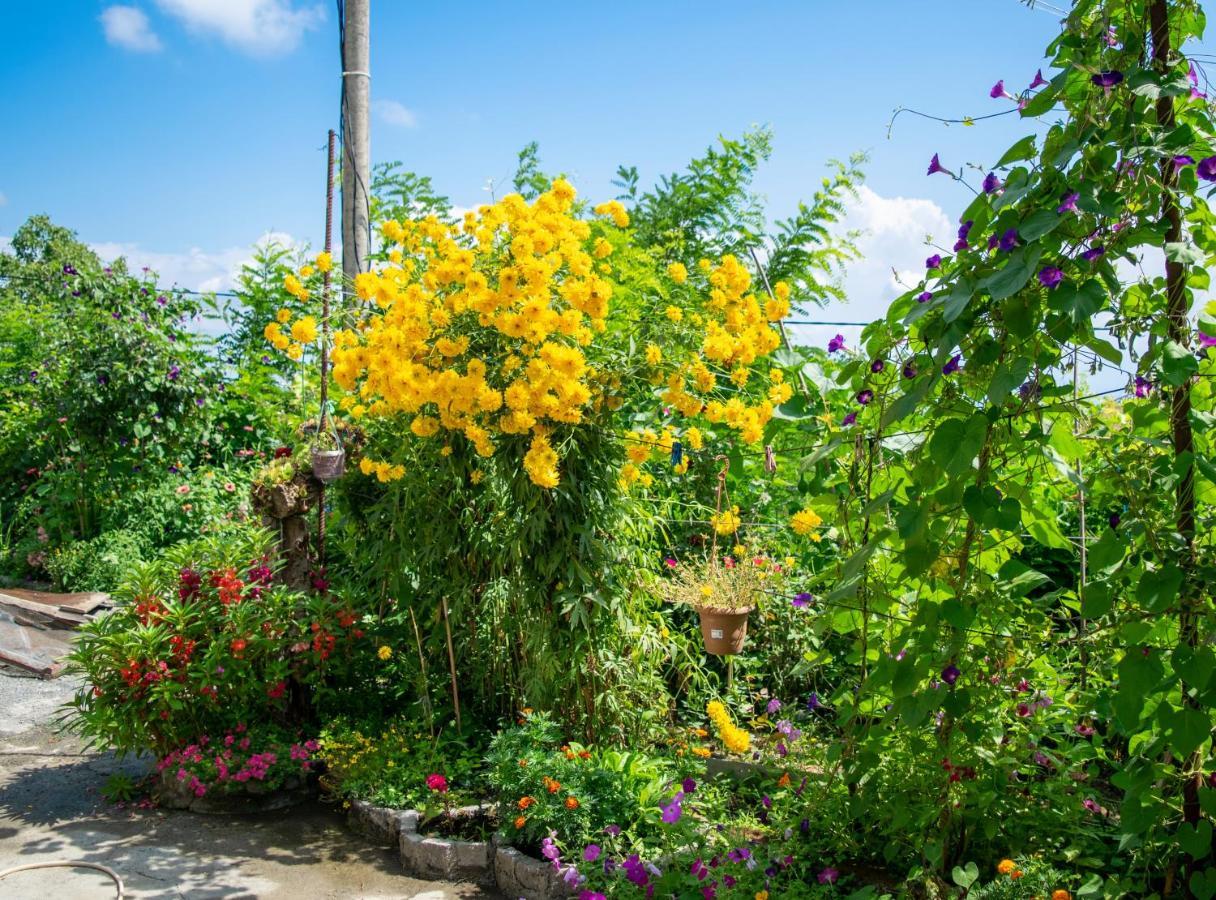 4 Rooms Sighnaghi Exterior photo