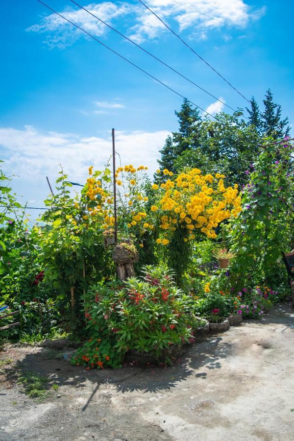 4 Rooms Sighnaghi Exterior photo